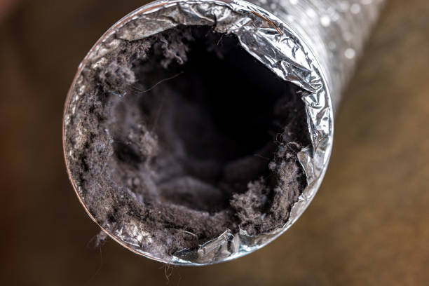 Best Local Air Duct Cleaning Services  in Lovejoy, GA
