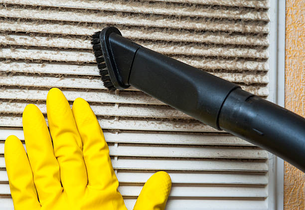Best Air Vent Cleaning Services  in Lovejoy, GA